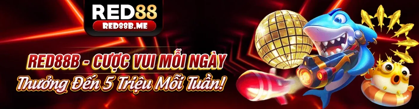Giao diện ứng dụng mayclub apk trên điện thoại di động